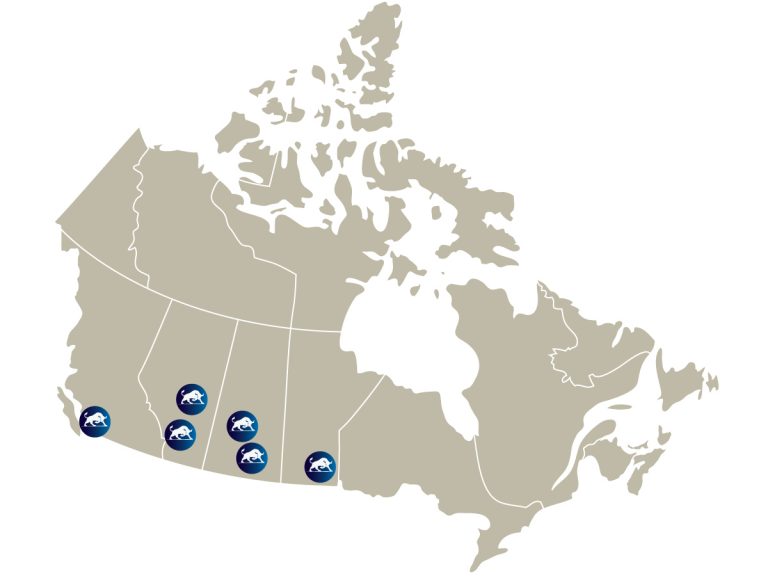 Locations International Pacific Sales Ltd.